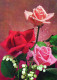 FIORI Vintage Cartolina CPSM #PBZ572.IT - Flowers
