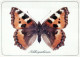 FARFALLA Animale Vintage Cartolina CPSM #PBS419.IT - Butterflies