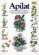 FIORI Vintage Cartolina CPSM #PAS465.IT - Blumen