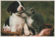 CANE Animale Vintage Cartolina CPSM #PAN628.IT - Hunde