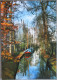 HOLLAND NETHERLAND UTRECHT CITY CENTER NIEUWEGRACHT POSTCARD CARTOLINA ANSICHTSKARTE CARTE POSTALE POSTKARTE CARD - Utrecht