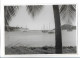 C5095/ Dampfer Ariadne In St. Thomas  Karibik Foto 21 X 14,5 Cm AK 1959 - Non Classés