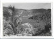 C5097/ St. Thomas   Karibik Foto 21 X 14,5 Cm AK 1959 - Non Classificati