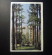 Russia - Russe - Leningrad - Maurice Thorez Prospect  - Housing - Architecture  Used Card - Rusia