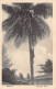 Zanzibar - Cocconut Tree - Publ. Unknown  - Tanzania