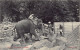 Sril Lanka - Ceylon Elephant At Work - Publ. Skeen-Photo  - Sri Lanka (Ceylon)