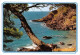 FALAISES DE LA VIGIE CLIFFS 6(scan Recto-verso) MA1582 - Frejus