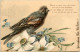 Vogel - Litho - Oiseaux