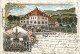 Waldheim - Gruss Vom Lindenhof - Litho - Waldheim