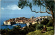 Ragusa Mit Ölbaum - Dubrovnik - Croatie