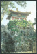 Japan 1993 To Italy; Imperial Garden. - Tokio