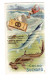 Chromo Chocolat Suchard, S 131 / 5, Serie Poissoins De La Mer - Suchard