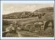 S3443/ Jerusalem Jehosaphatstal Palästina Trinks-Bildkarte AK-Format Ca.1925 - Palestine