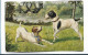 Y23595/ Hunde Schöne AK Ca.1912 - Dogs