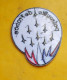 TISSU PATCH : PATROUILLE DE FRANCE  , DIAMETRE 9 CM , BON ETAT VOIR PHOTO . POUR TOUT RENSEIGNEMENT ME CONTACTER. REGARD - Patches