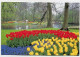 AK 213405 NETHERLANDS - Lisse - Keukenhof - Lisse