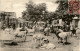 Nigeria - Fulani Cattle Lagos Market - Nigeria