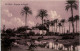 Cairo - Paysage En Egypte - Le Caire