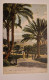 Carte Postale NICE : Vue Jardin Public - Parcs Et Jardins