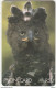 SOUTH AFRICA(chip) - Crowned Eagle, Thick CN : SAEGS(normal 0), Tirage %30000, Used - Afrique Du Sud