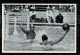 Jeux Olympiques Games JO 1936 Berlin Water Polo Match Allemagne Tchecoslovaquie   Image Chromo 8 X 12 Cm  JAMAIS COLLEE - Autres & Non Classés