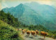 Animaux - Vaches - Pyrénées - En Route Vers Les Hauts Pâturages - CPM - Voir Scans Recto-Verso - Vacas
