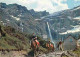 Animaux - Chevaux - Pyrénées - Cirque De Gavarnie Et Grande Cascade - CPM - Voir Scans Recto-Verso - Horses