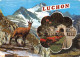 31-LUCHON-N°3424-C/0019 - Luchon
