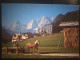 Kranjska Gora. Horse Drawn Carriage. Hotel Alpina. Hotel Alpe Adria - Pferde