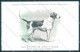 Animali Dog Cane English Foxhound Chien Renard Postcard VK9541 - Autres & Non Classés