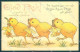 Artist Signed Sundius Dahlstrom Easter Chick Flower Cartolina Postcard TW1863 - Otros & Sin Clasificación