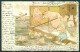 Animals Dressed Pig Sea Swimming Sport Cartolina Postcard TW1555 - Otros & Sin Clasificación