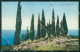 Verona Garda Lago Cipressi Cartolina RB8162 - Verona