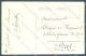 Animals Dog German Pinscher Pittius Cartolina Postcard TW1264 - Altri & Non Classificati