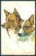 Animals Norfini Dog Lapponian Herder Serie 707-2 Cartolina Postcard TW1307 - Other & Unclassified