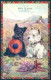 Animals Mabel Gear Scotch West Highland Terrier Valentines 5103 CREASE Pc TW1314 - Other & Unclassified