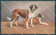 Animals Reichert ? Dog Saint Bernard TSN Serie 707 Cartolina Postcard TW1312 - Other & Unclassified