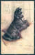 Animals Maud West Watson Skye Terrier Dog Tuck Oilette 8682 Postcard TW1242 - Other & Unclassified