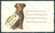 Animals Terrier Dog Birthday Card Cartolina Postcard TW1114 - Sonstige & Ohne Zuordnung