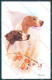 Animals Arthur Wardle Pointer Dog Serie 42316 Cartolina Postcard TW1150 - Sonstige & Ohne Zuordnung