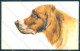 Animals Norfini Dog Setter Serie 1044 Cartolina Postcard TW1297 - Sonstige & Ohne Zuordnung