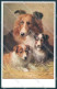 Animals Reichert Collie Dog Theo Stroefer 1544 Cartolina Postcard TW1216 - Sonstige & Ohne Zuordnung