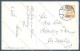 Animals Florence Valter Dog Norfolk Terrier Serie 1460-3 Postcard TW1132 - Sonstige & Ohne Zuordnung