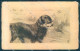 Animals Hovawart Dog Hunting Partridge Cartolina Postcard TW1144 - Sonstige & Ohne Zuordnung