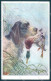 Animals Burton Spinone Dog Hunting Mallard BKWI 859-3 Cartolina Postcard TW1066 - Sonstige & Ohne Zuordnung