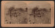 Stereo-Fotografie B. W. Kilburn, Littleton N.H., Ausstellung Worlds Fair Chicago 1893, Ententeich Mit Ruderboot  - Photos Stéréoscopiques