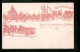 Lithographie Karlsruhe, Festpostkarte Zum 70. Geburtstag Des Grossherzogs 1896, Die Ersten Zähringer  - Karlsruhe