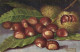 Illustrateur M Giachino Chataignes Castagne RV - Arbres