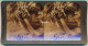 Photo Stéréoscopique (9) 7,7 X 8 Cm Carton Fort 17,7 X 8,8 Cm (99) Cocoanut Trees In The White Sands Of Florida, U.S.A.* - Fotos Estereoscópicas