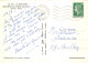 56-ROCHEFORT EN TERRE-N°4161-B/0039 - Rochefort En Terre